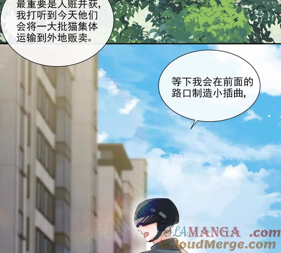 贪婪与恐惧 第10页