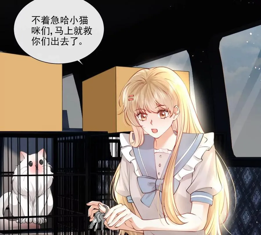 贪婪与恐惧 第41页