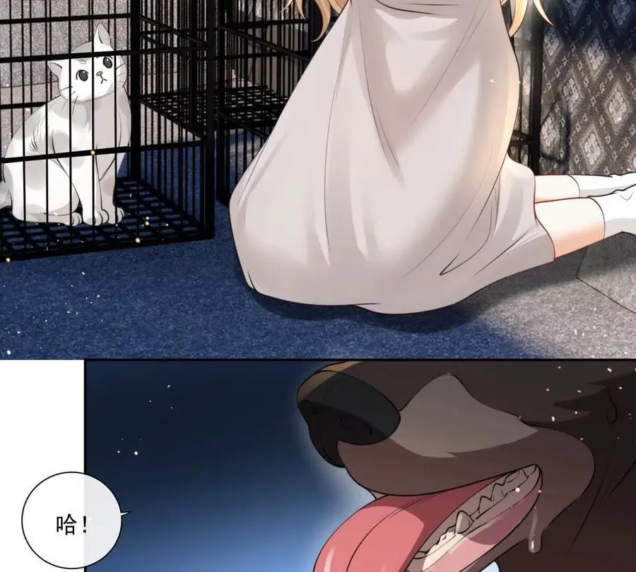 贪婪与恐惧 第42页