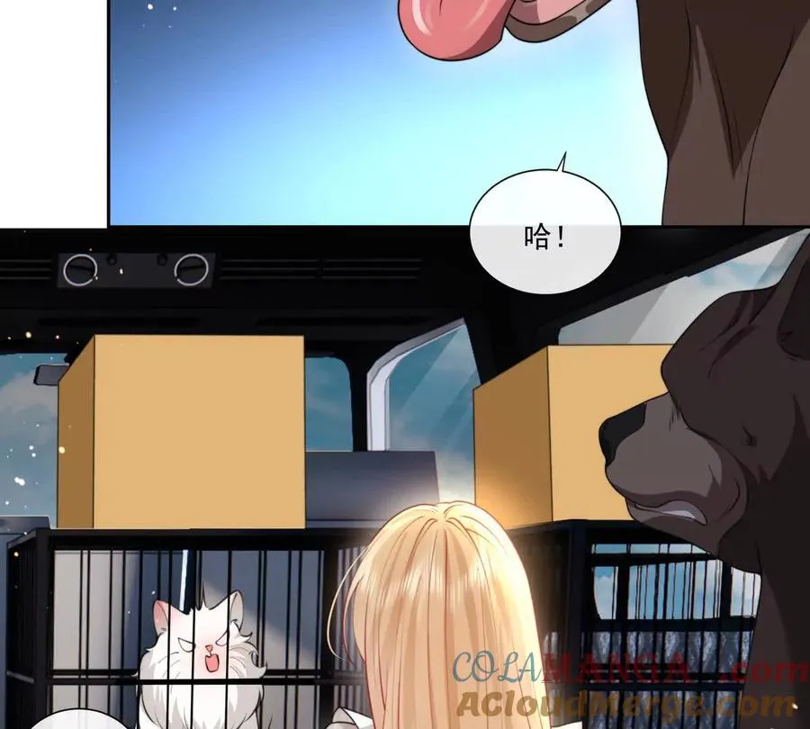 贪婪与恐惧 第43页