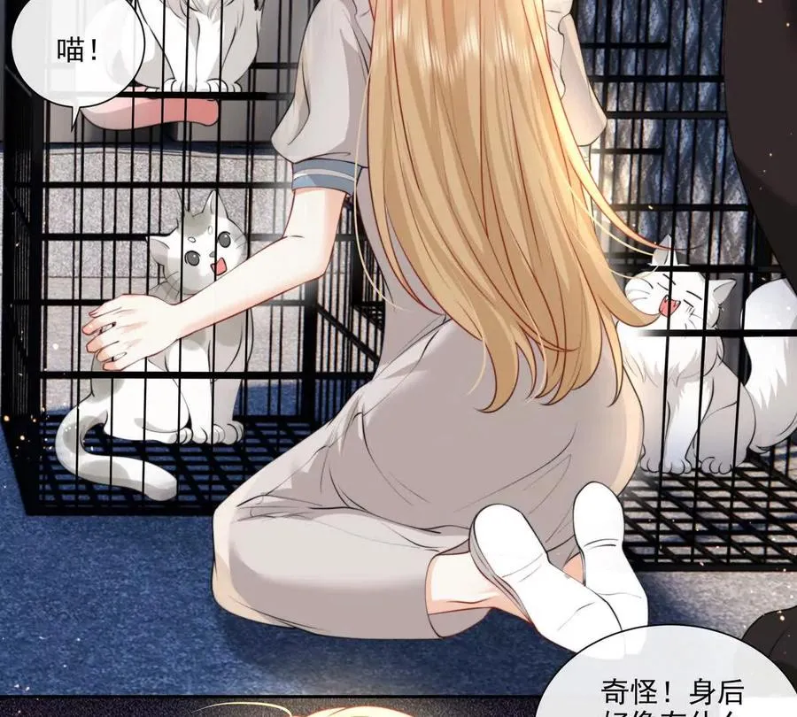 贪婪与恐惧 第44页
