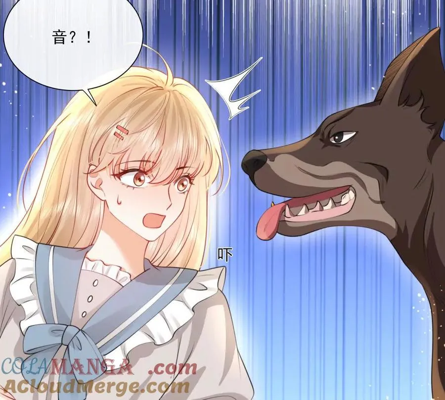 贪婪与恐惧 第46页