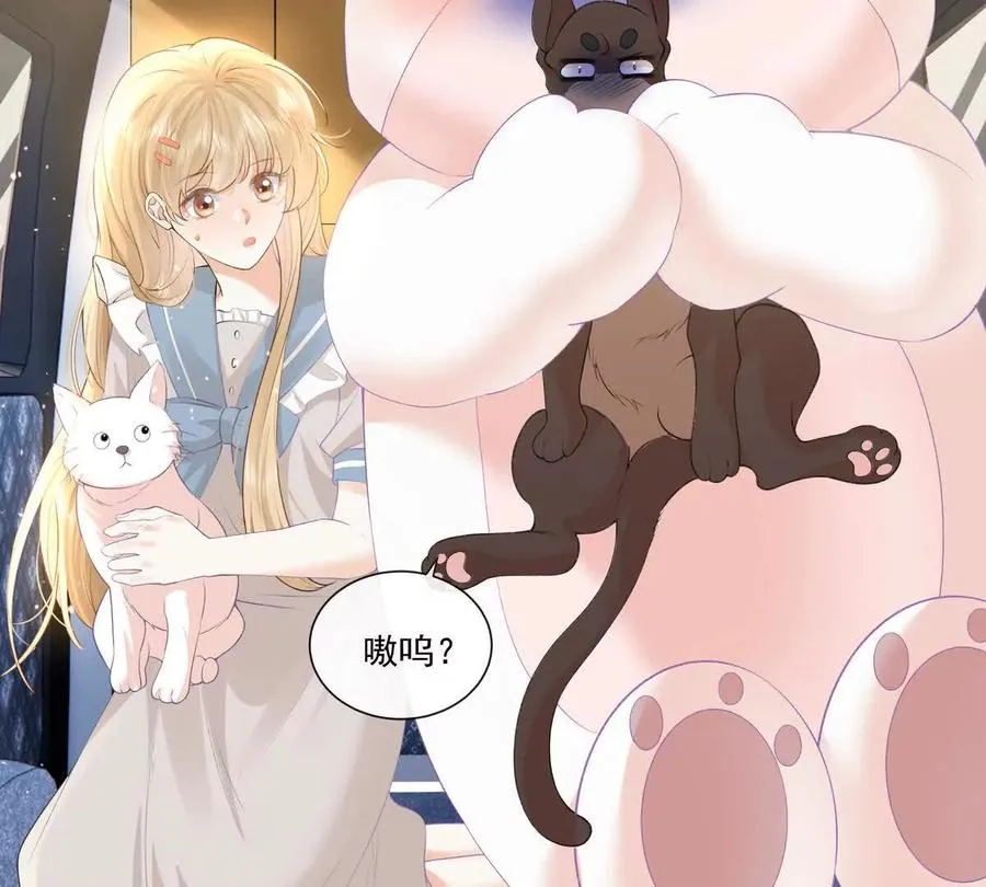 贪婪与恐惧 第69页