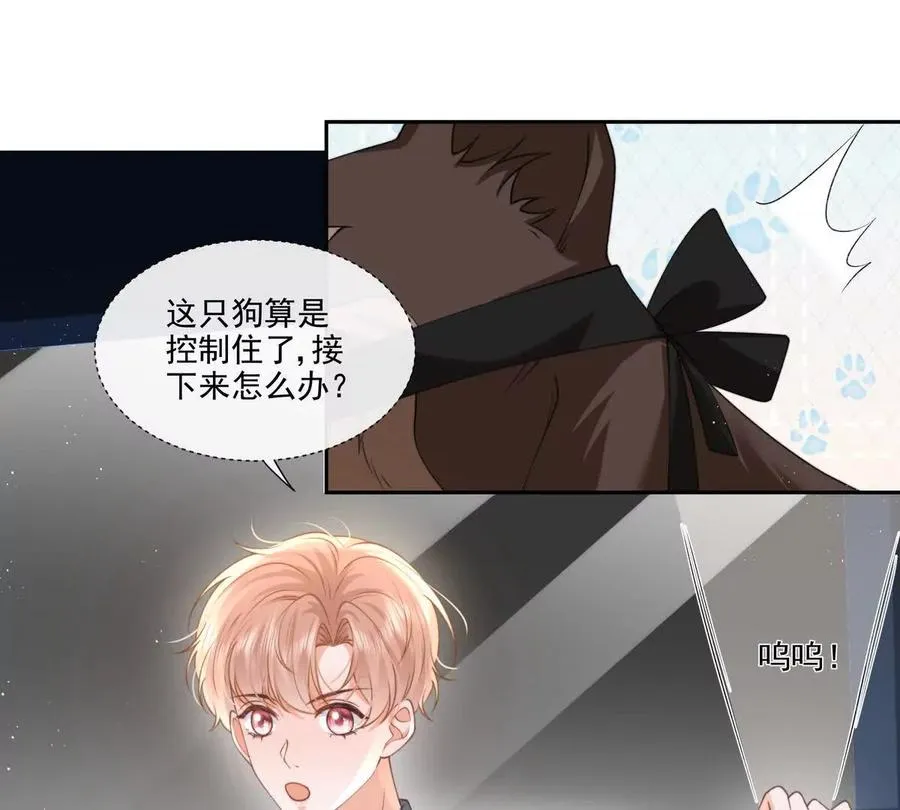 极限营救 第5页