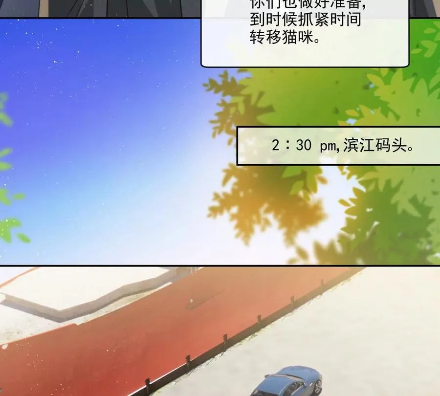极限营救 第47页