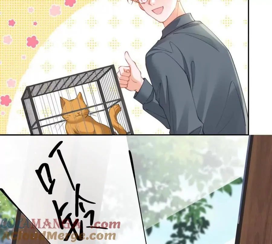 最后一个任务 第19页