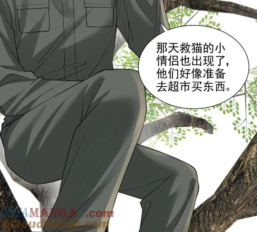 引蛇出洞 第34页