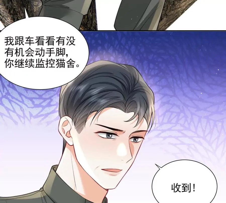 引蛇出洞 第35页