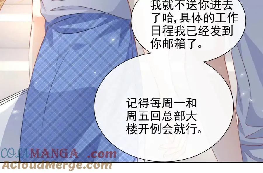 风浪越大鱼越贵 第13页