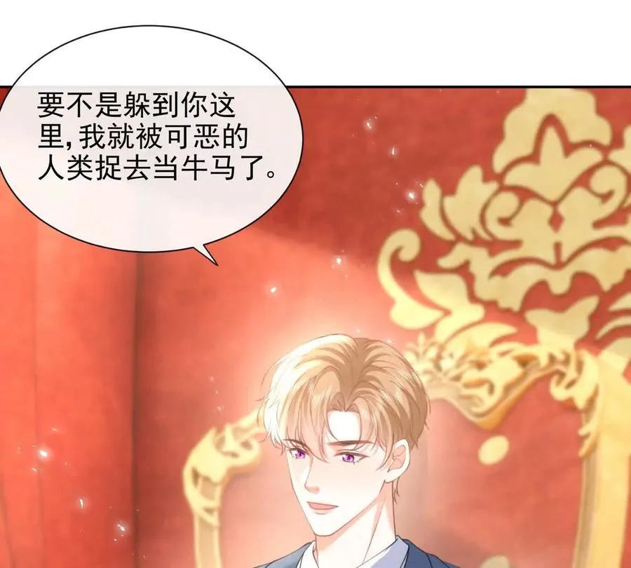 风浪越大鱼越贵 第29页