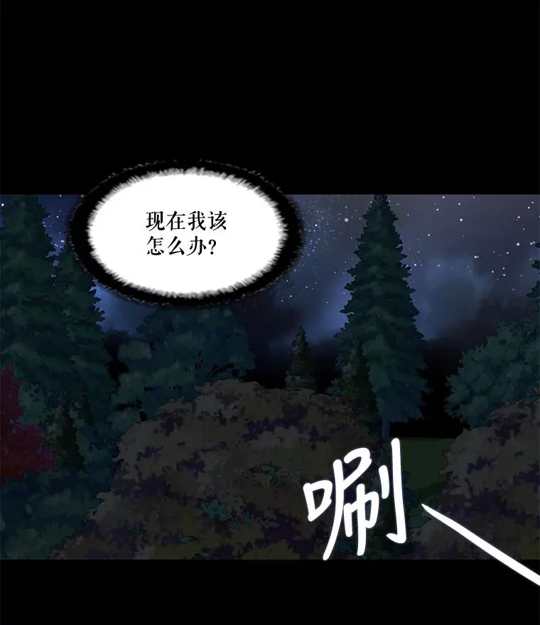 37.西亚尔…（1） 第17页