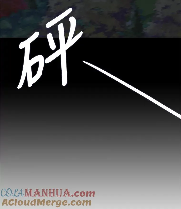 37.西亚尔…（1） 第28页