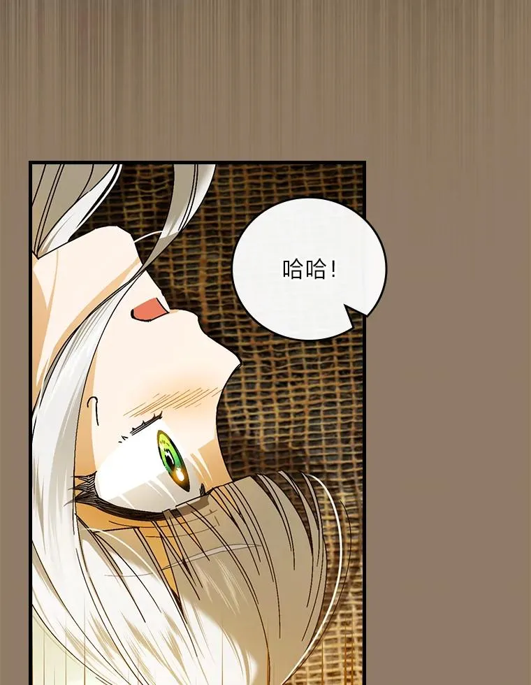 93.声东击西 第60页