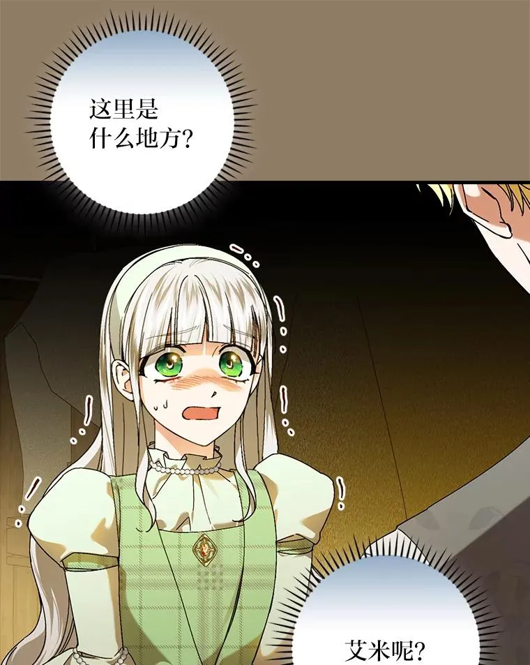 93.声东击西 第66页