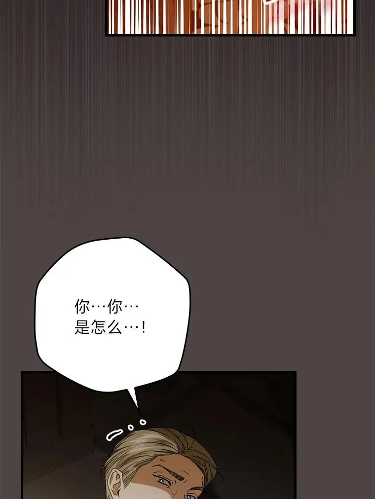 94.反杀 第87页
