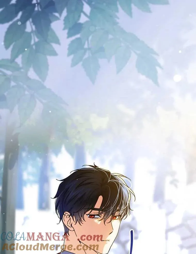 102.最后的机会 第41页