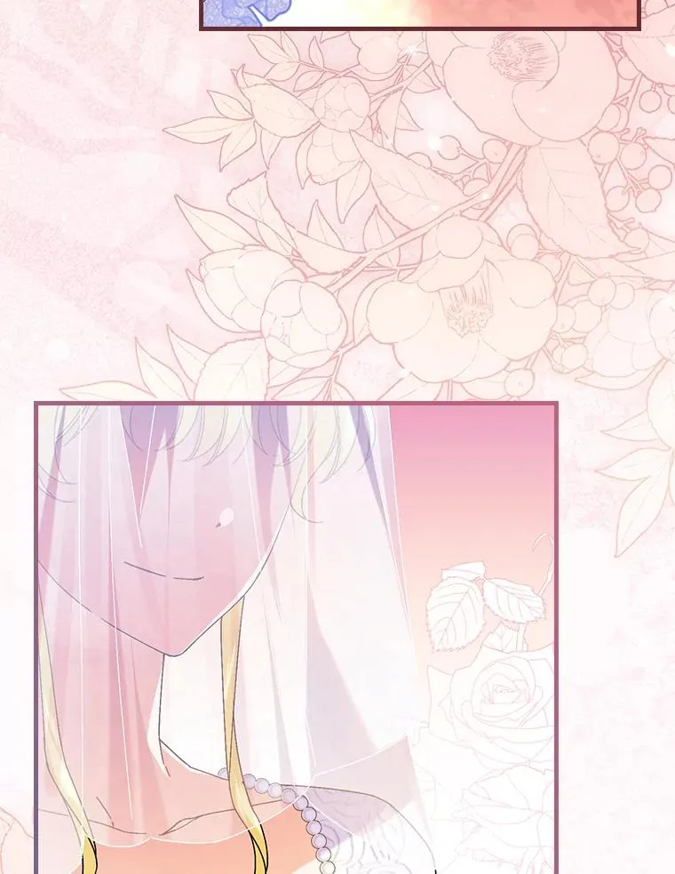 113.抱得美人归 第47页