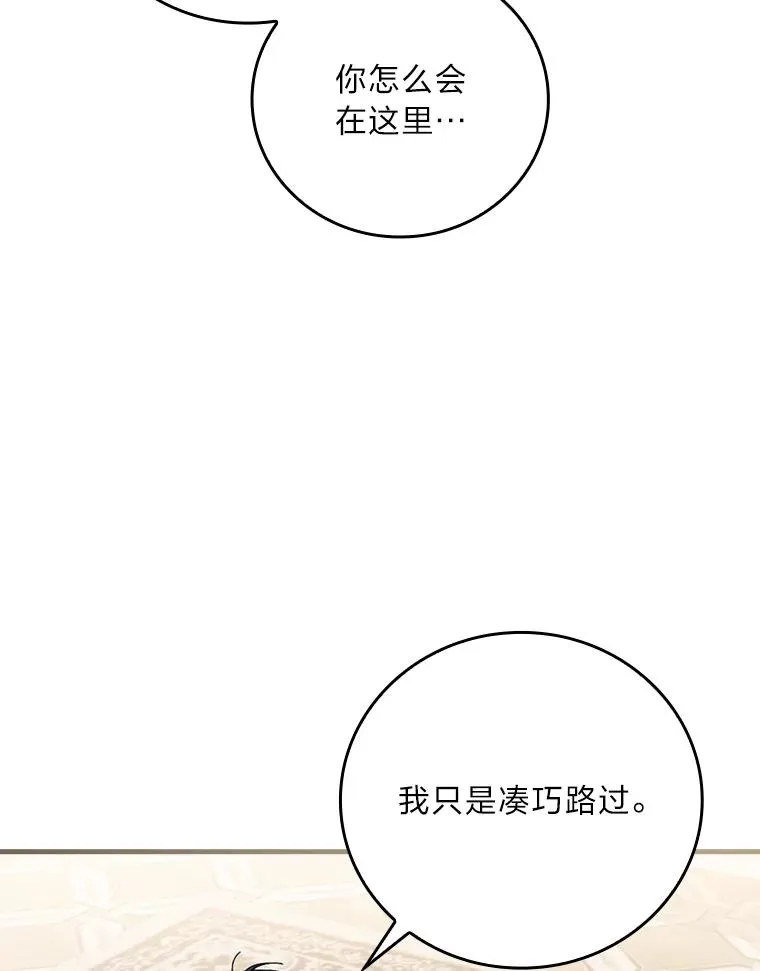115.利夏尔的故事 第39页