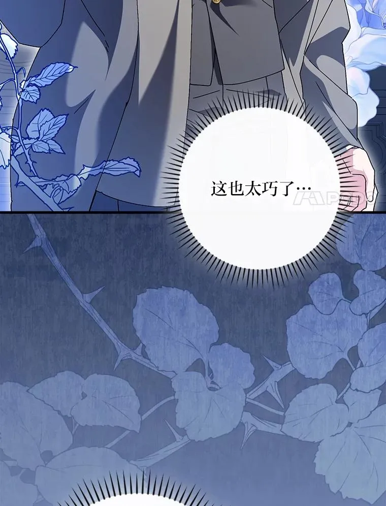115.利夏尔的故事 第95页