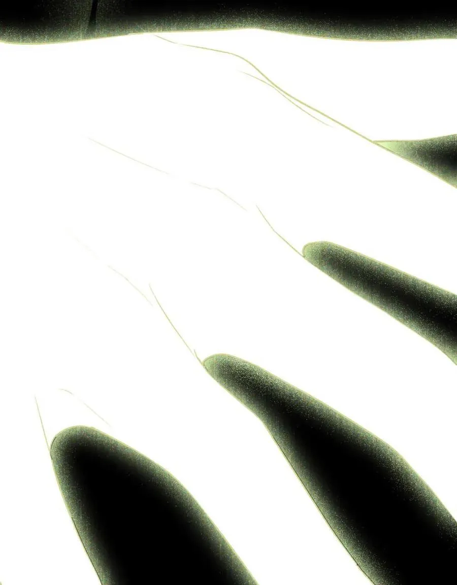 第39话 第11页