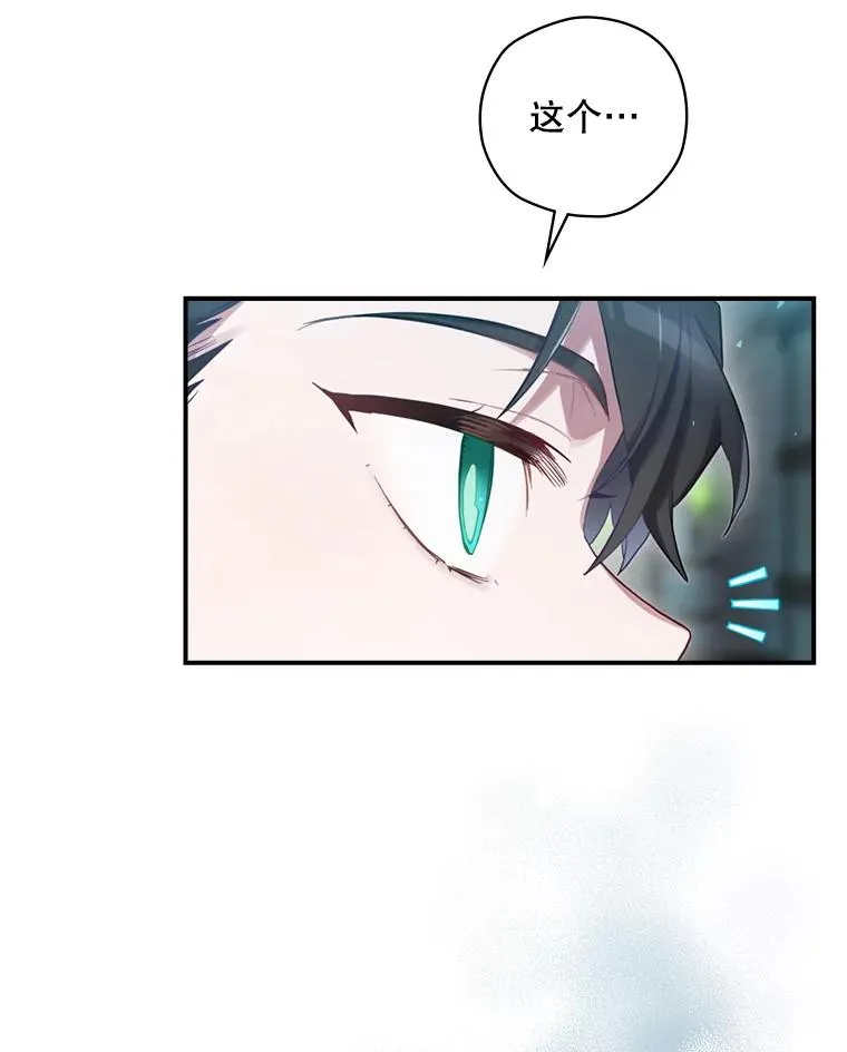 9.怒狼登场 第12页