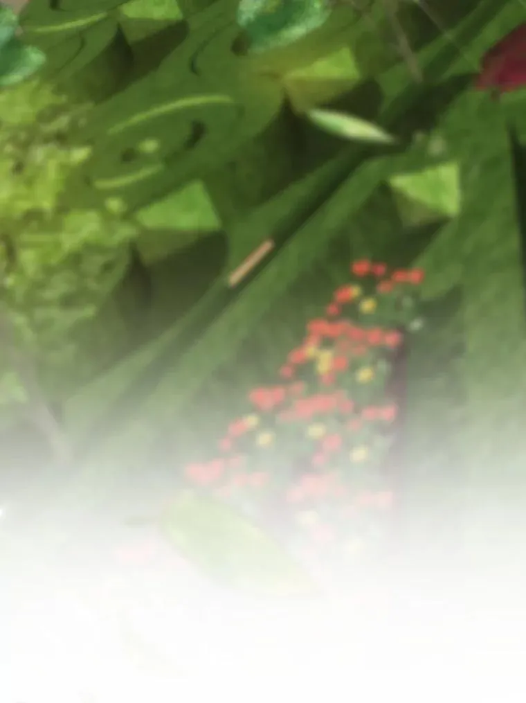 14.父亲的考验 第75页