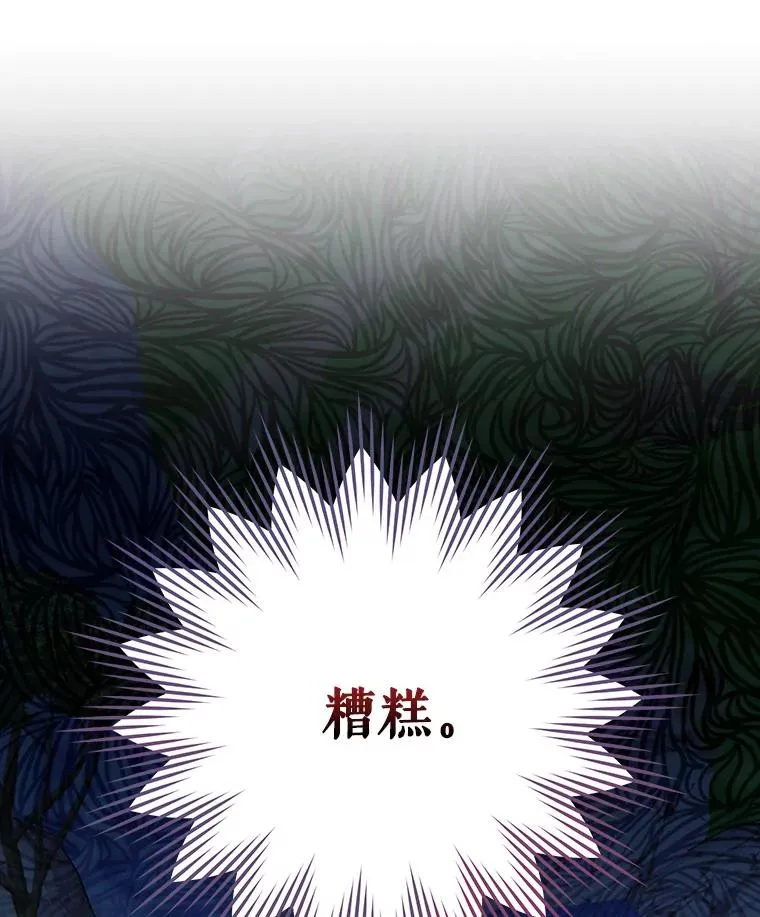 17.小仙子出现 第102页