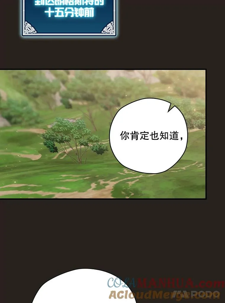 25.青狮骑士团 第25页