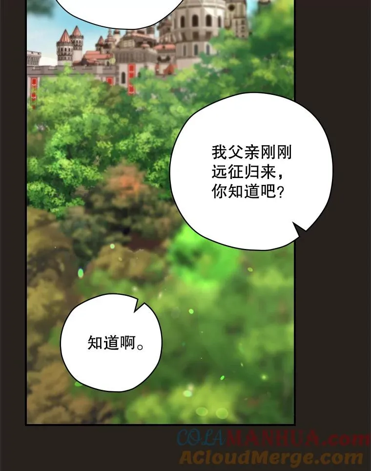 25.青狮骑士团 第53页