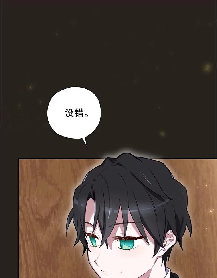 25.青狮骑士团 第62页