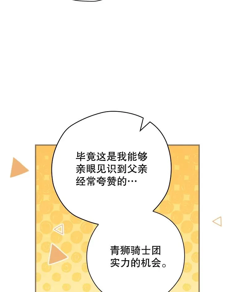 25.青狮骑士团 第95页