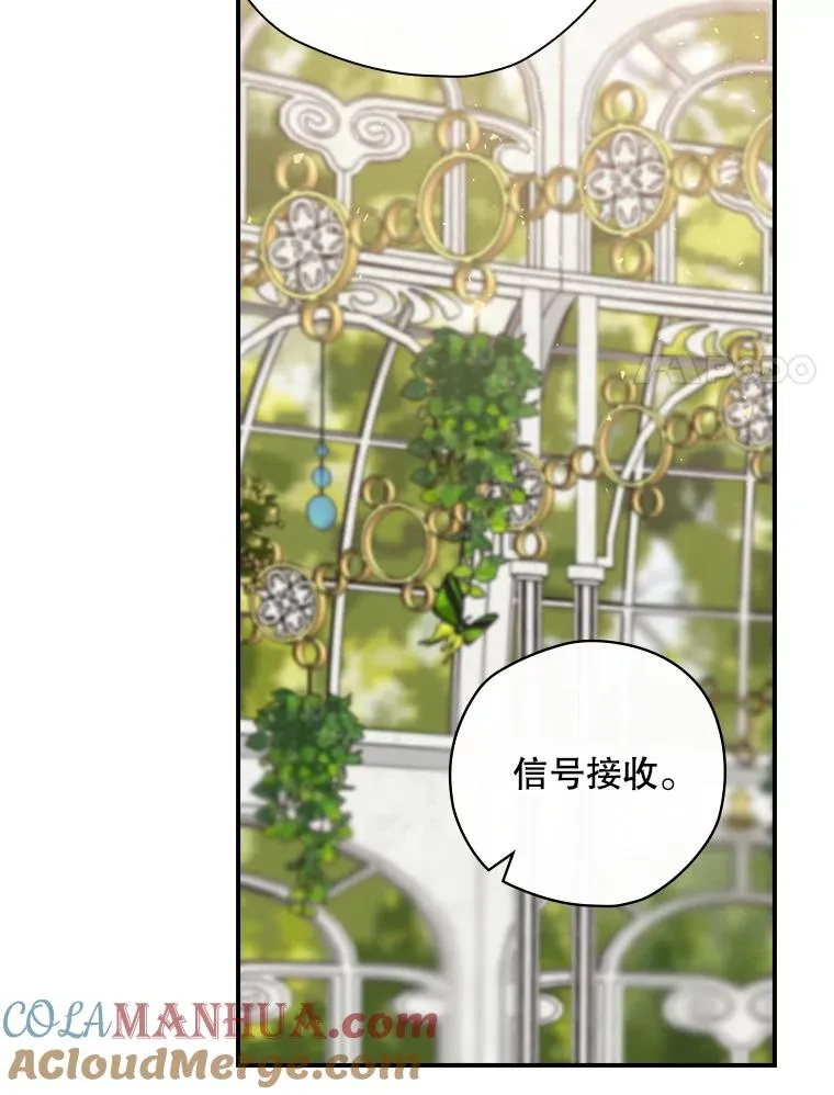 28.遭到袭击 第41页