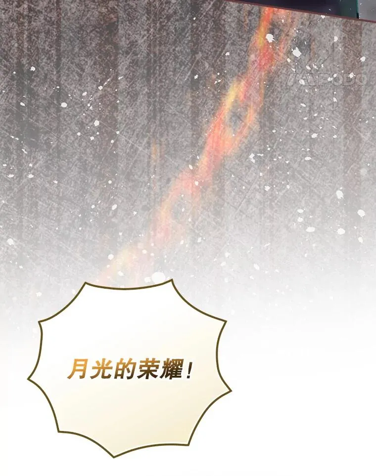 32.使用圣杖月光 第75页