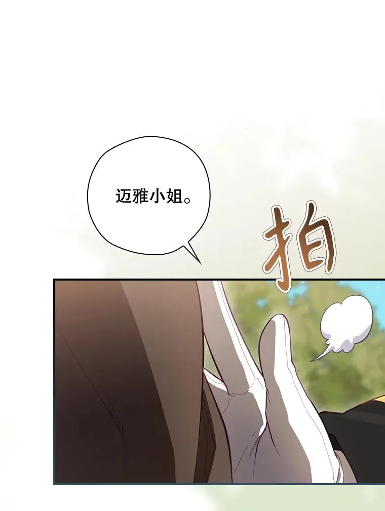 37.征求同意 第74页