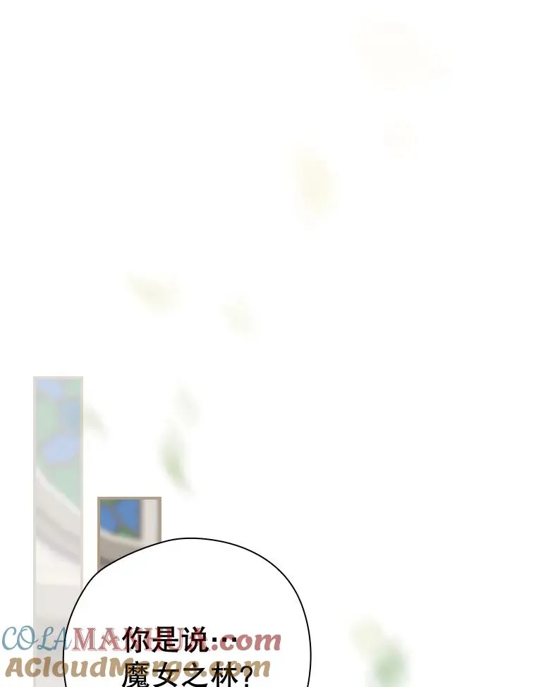 37.征求同意 第85页
