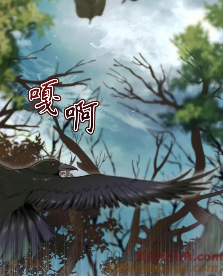 38.魔女之林 第29页