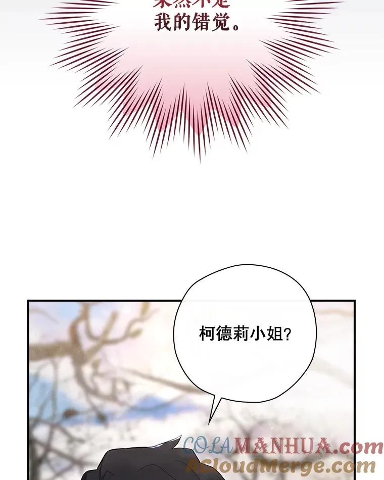 38.魔女之林 第133页
