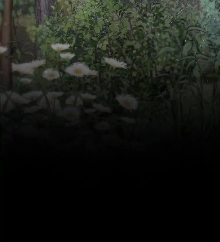 42.到达诺顿府邸 第40页