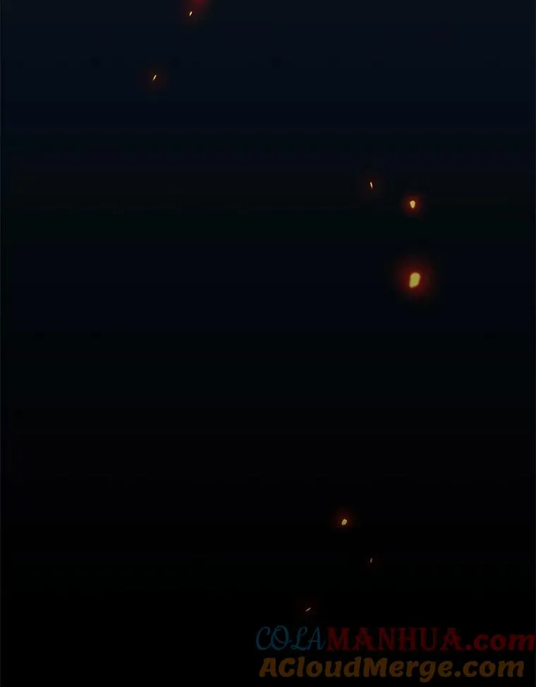 43.陷阱 第13页