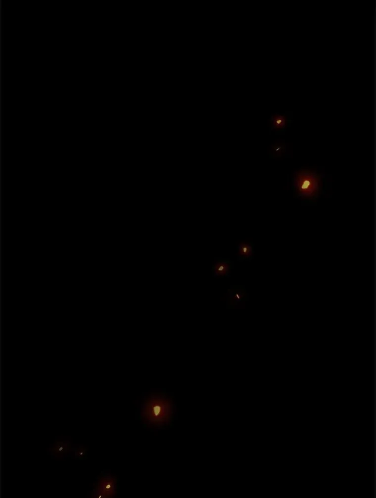 43.陷阱 第16页