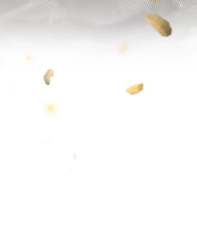 43.陷阱 第150页