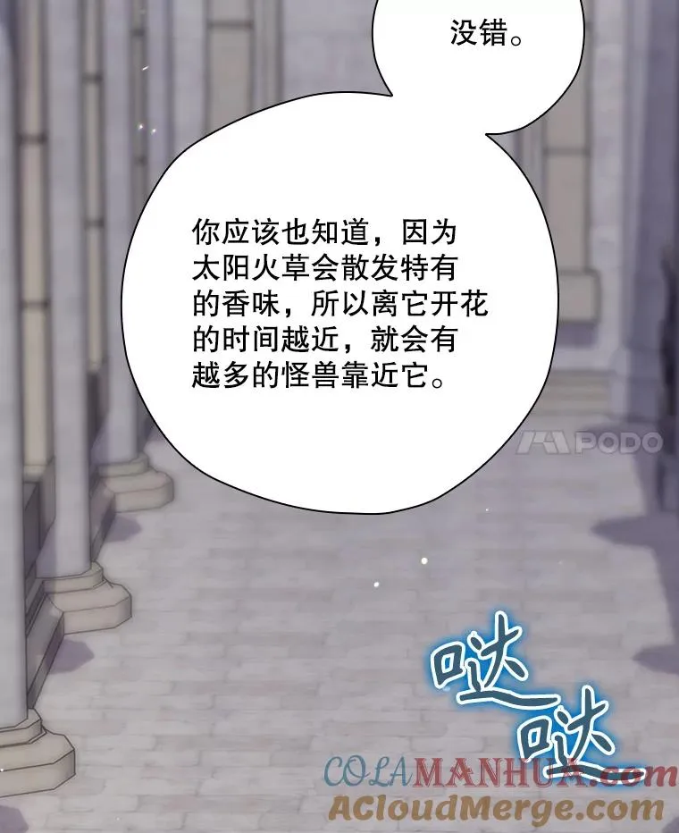 51.设置陷阱 第153页