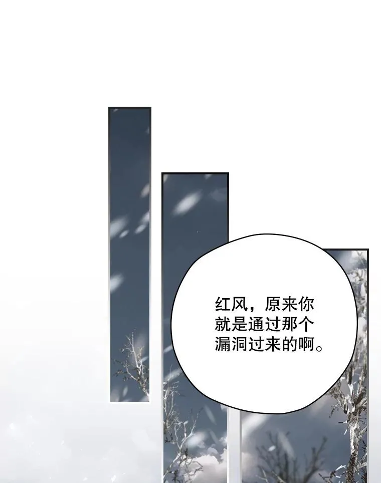 66.前往国境 第39页