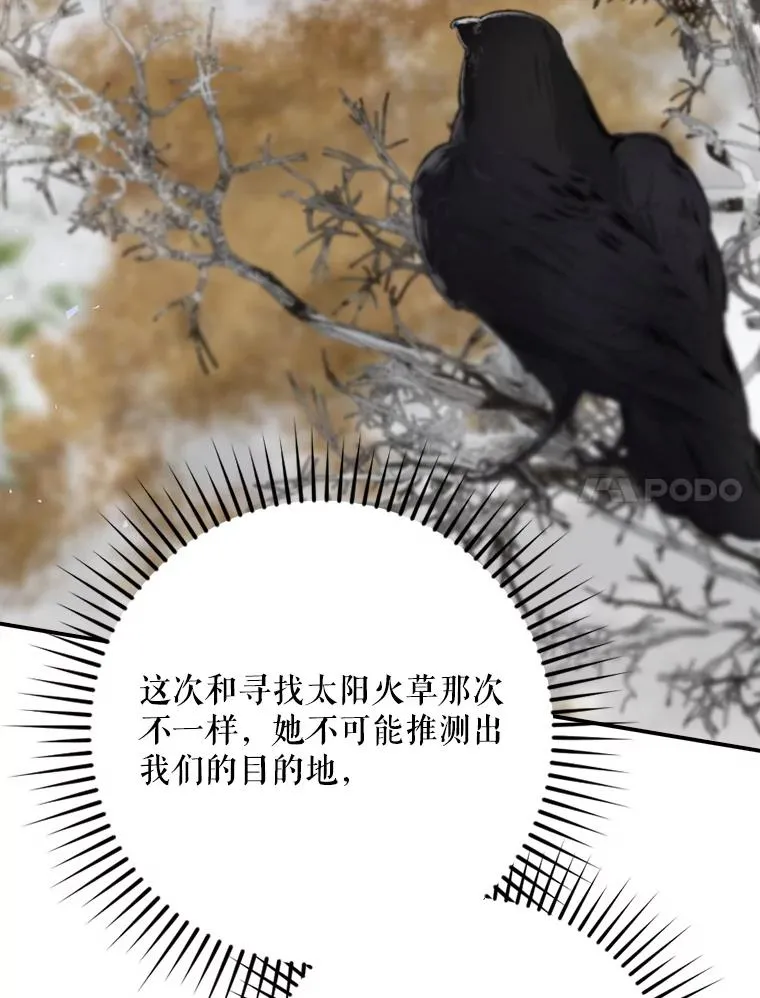 67.被卡玛尔救下 第50页