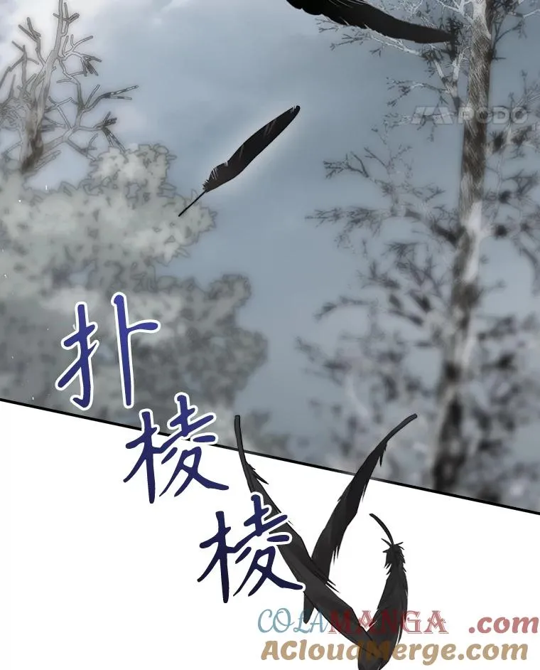 67.被卡玛尔救下 第57页