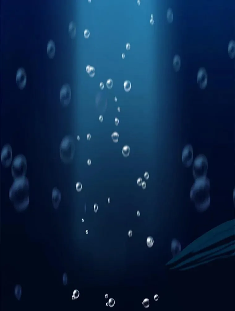 8.海神庆典 第111页