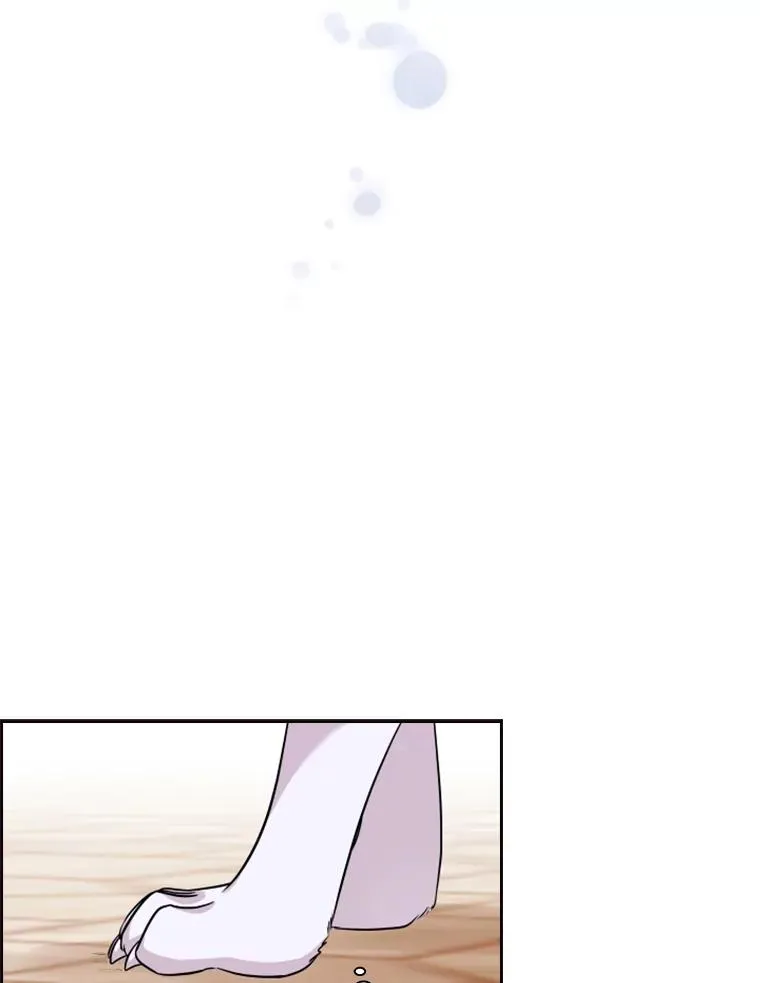 14.会说话的鸽子（1） 第62页