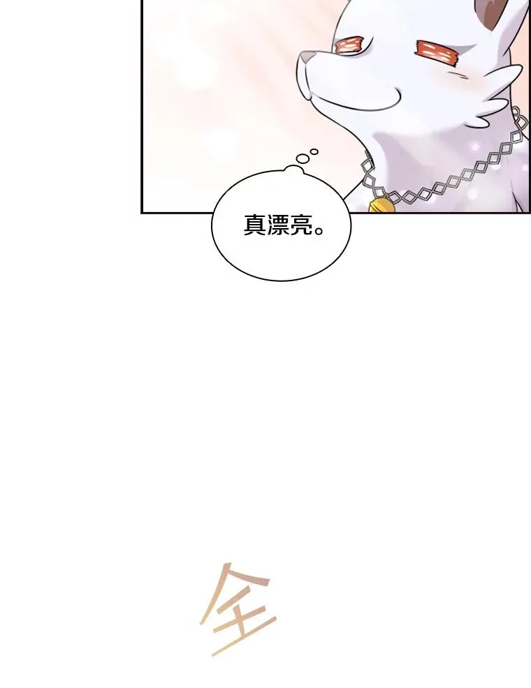 14.会说话的鸽子（1） 第70页