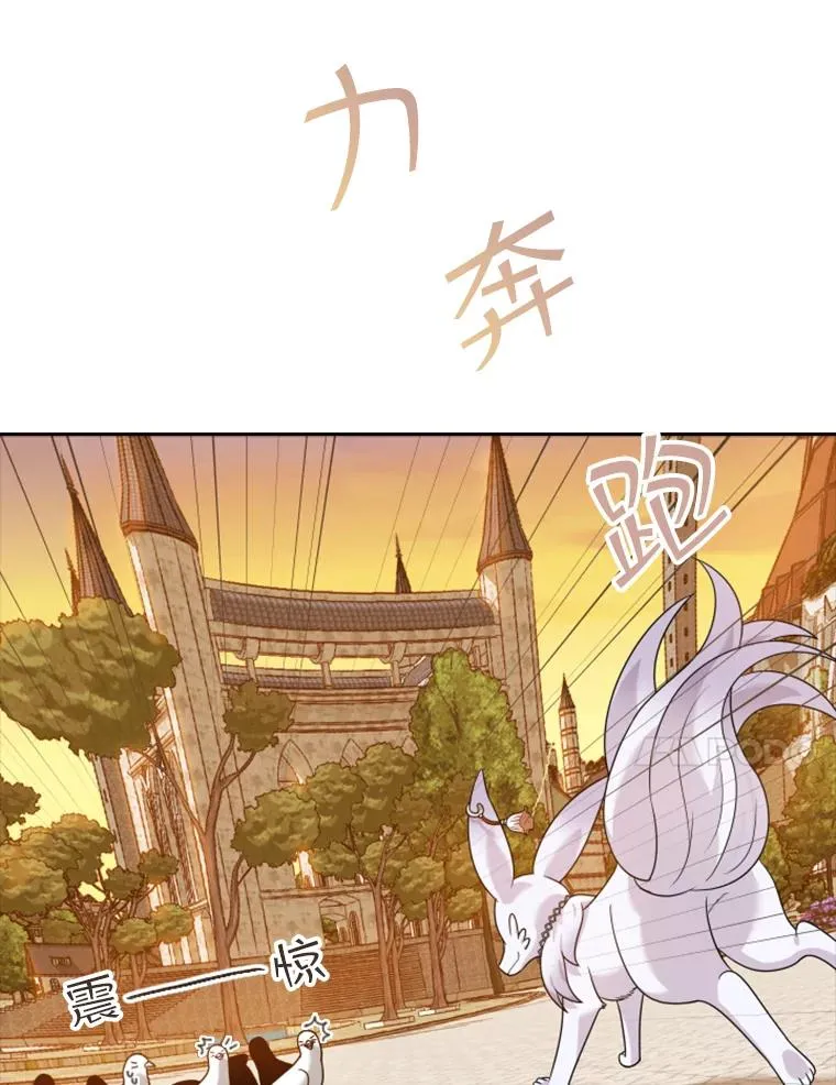 14.会说话的鸽子（1） 第71页