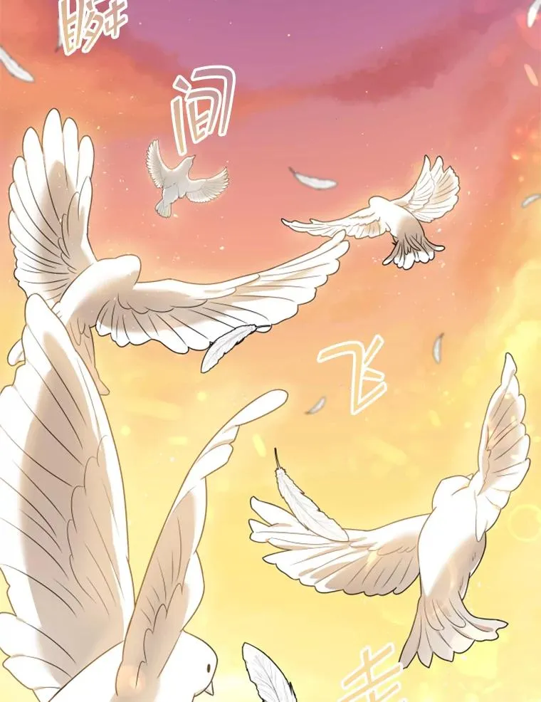 14.会说话的鸽子（1） 第74页